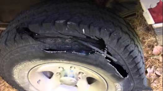 trailer tire